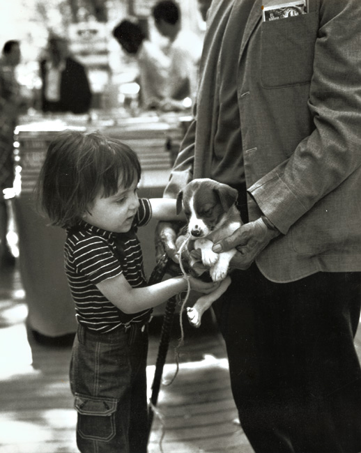 Dorka Raynor - Boy with Puppy, Barcelona, Spain