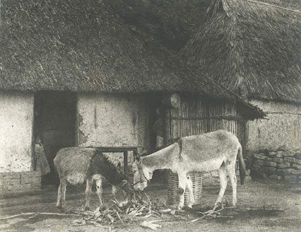 Photo Detail - Llewellyn R. Lewis - A Mexican Scene