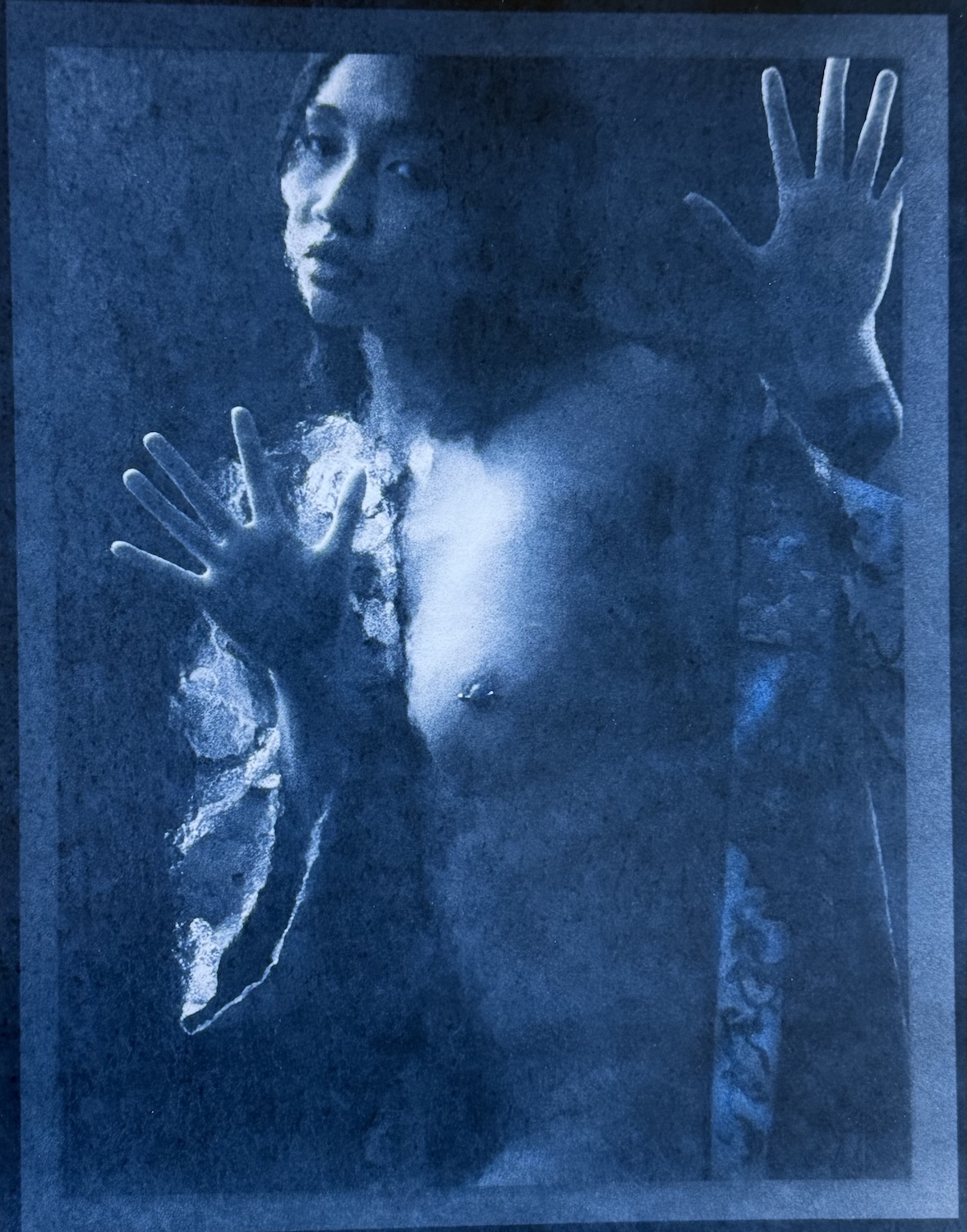 Rex in Blue