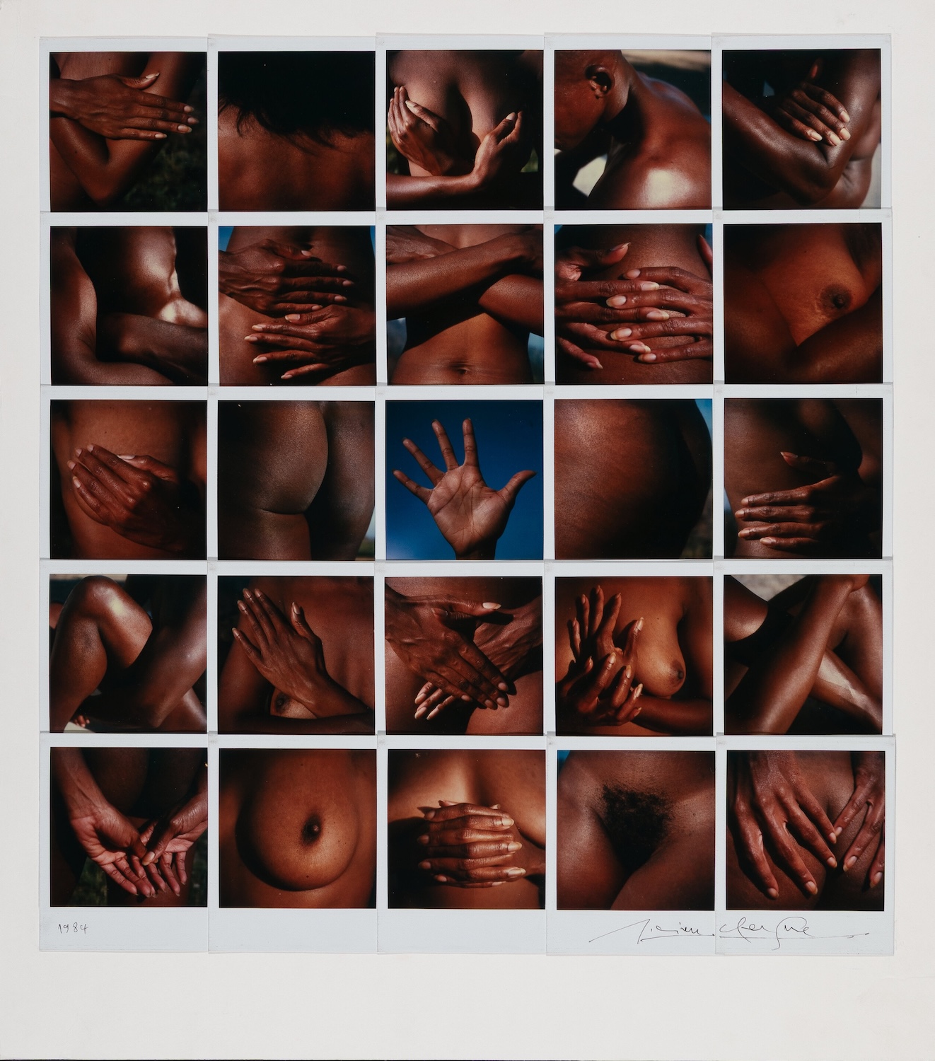 Ligues de Main, Ligues de Vie, Pasadena ( Unique 25 Image Collage of Polaroids)