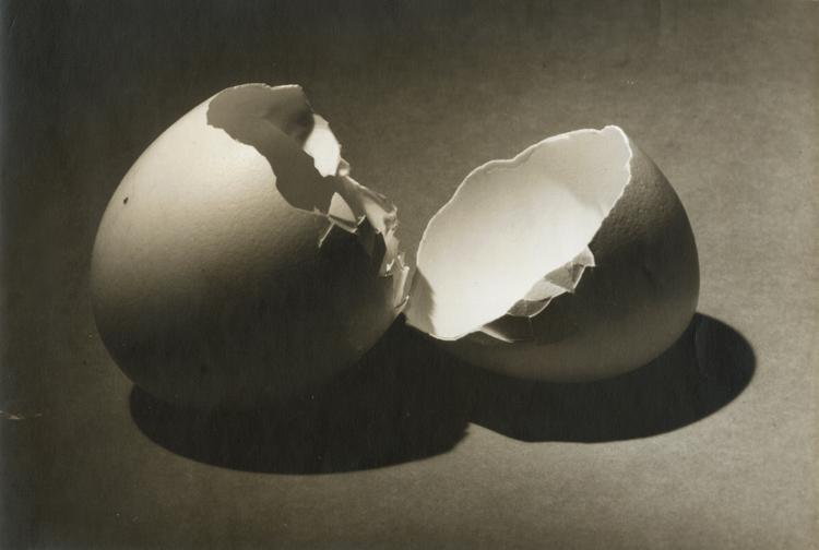 Photo Detail - George A. Eisenman - Broken Egg