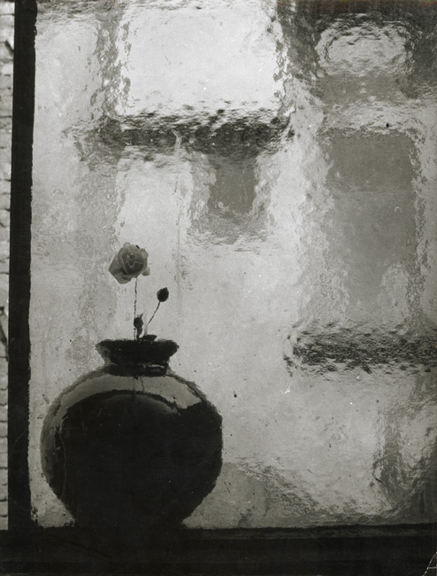 Antonin Gribovsky - Vase in the Window