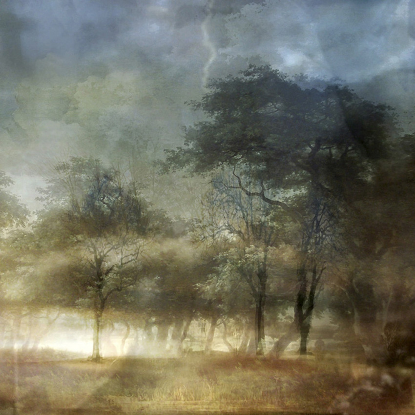 Lisa Holden - Storm Trees (from Series "Constructed Landscapes")