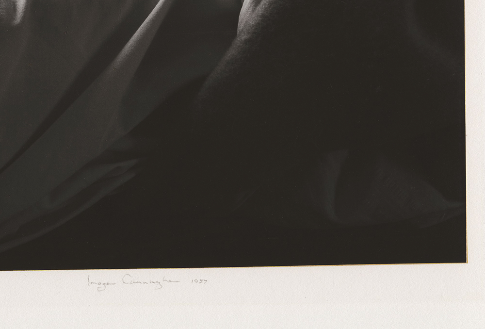 Photo Detail - This Sale Photo Detail - This Sale