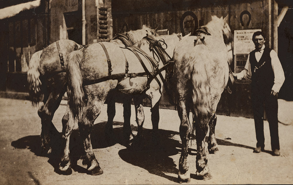 Photo Detail - E. Benard (Editor) - Man and Three Horses