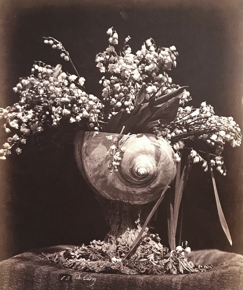 Charles Aubry: Master of Botanical Still Lifes