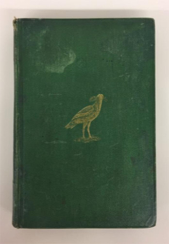 Photo Detail - Alexander W. M. Clark Kennedy - The Birds of Berkshire and Buckinghamshire: A Contribution to the Natural History of the Two Counties