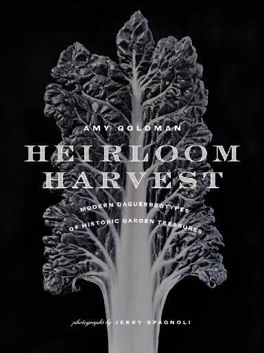 Jerry Spagnoli - Heirloom Harvest: Modern Daguerreotypes of Historic Garden Treasures