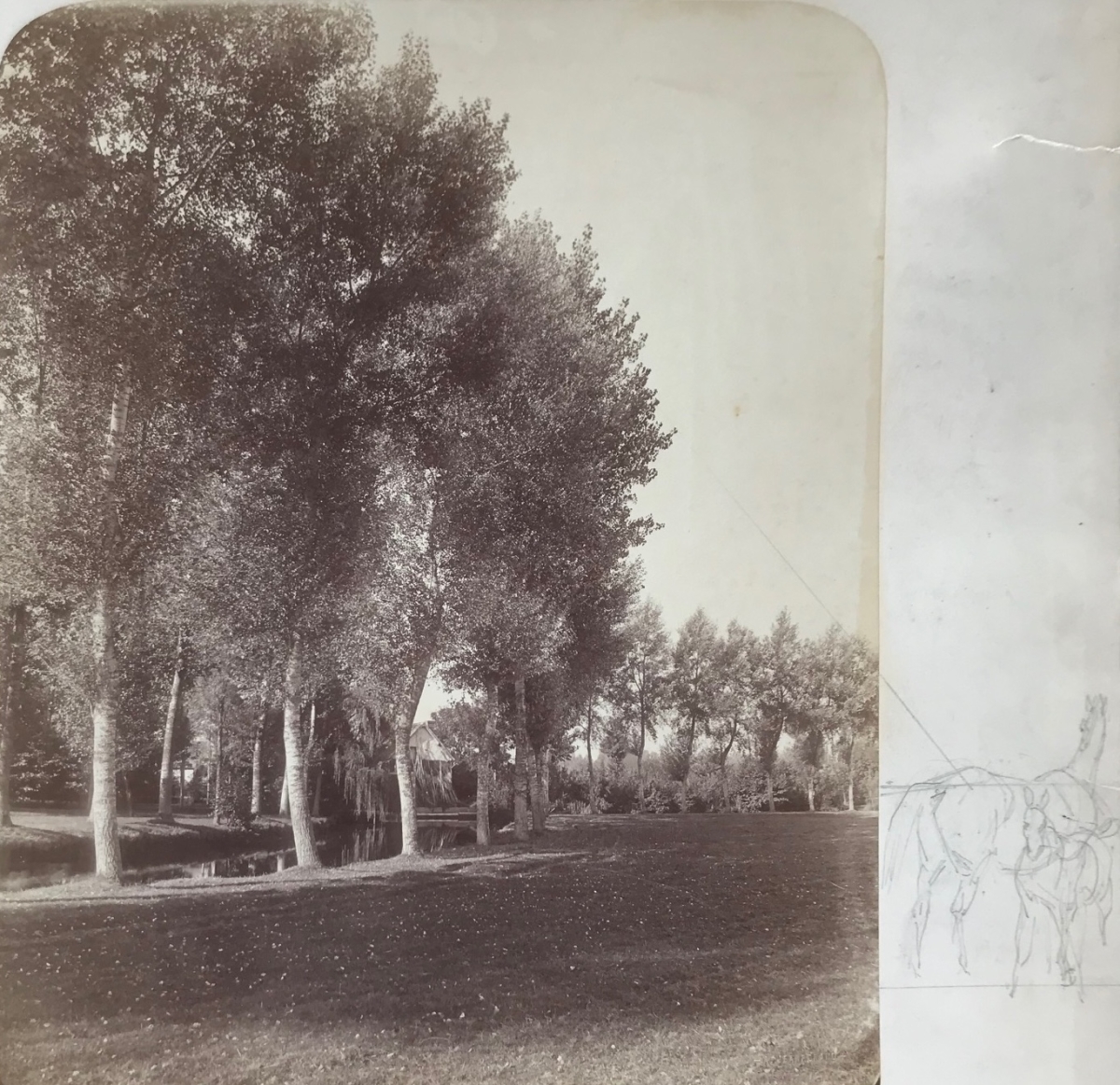 Photo Detail - Alphonse François Jeanrenaud - Trees and River