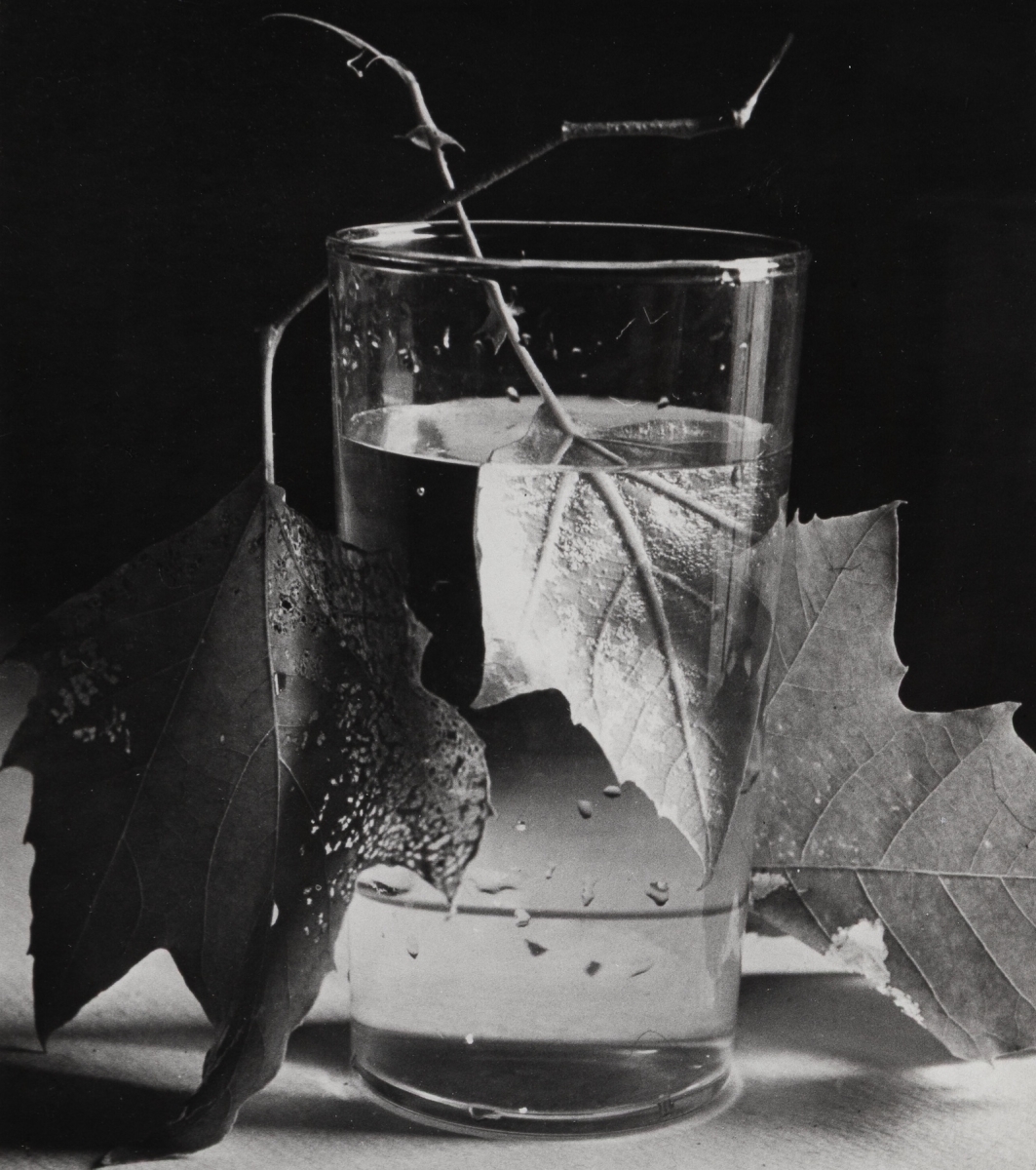 Horst Paul Horst - Army Leaves, Fort Belvoir, VA
