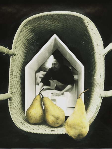 Photo Detail - Diane Farris - Pear Table (Still Life)