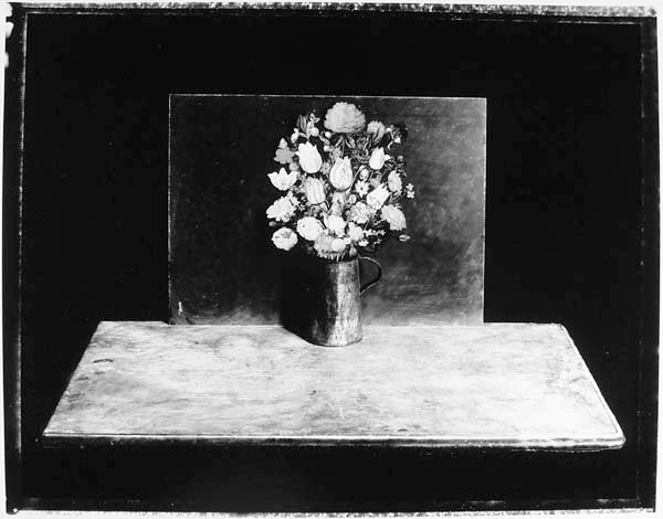 Pamela Hawkes - Still Life with Bosschaert Flowers
