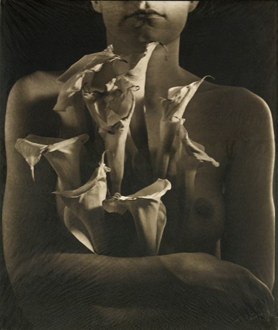 Photo Detail - DavidJohn Lotto - Embracing the Wounds (Female Nude with Lilies)